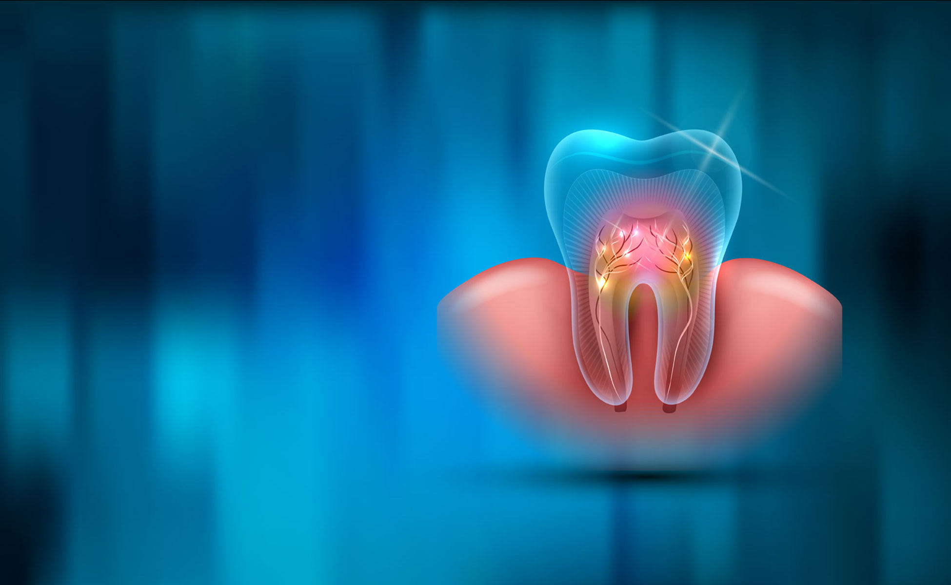 Shematski prikaz presjeka zuba s unutarnjim živcima i potpornim mesom na plavoj pozadini